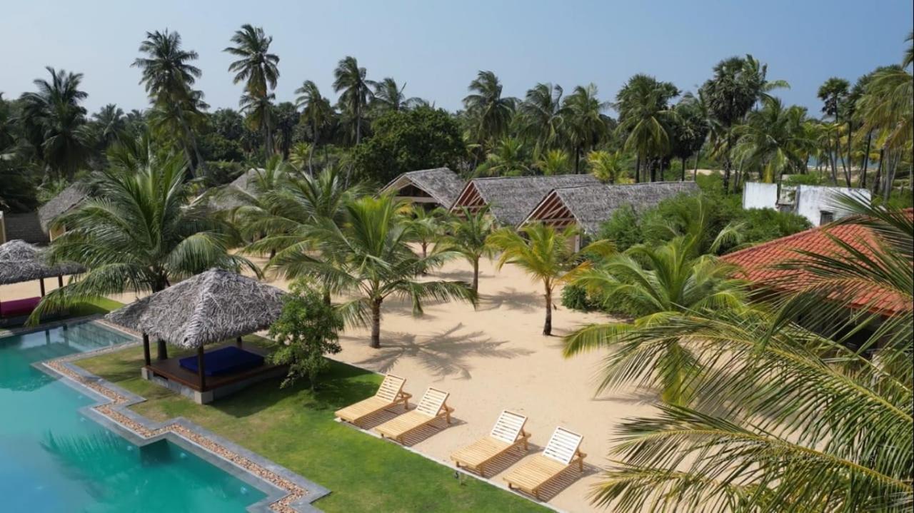 Blue Waves Kite Surfing Beach Resort คัลพิทิยา ภายนอก รูปภาพ