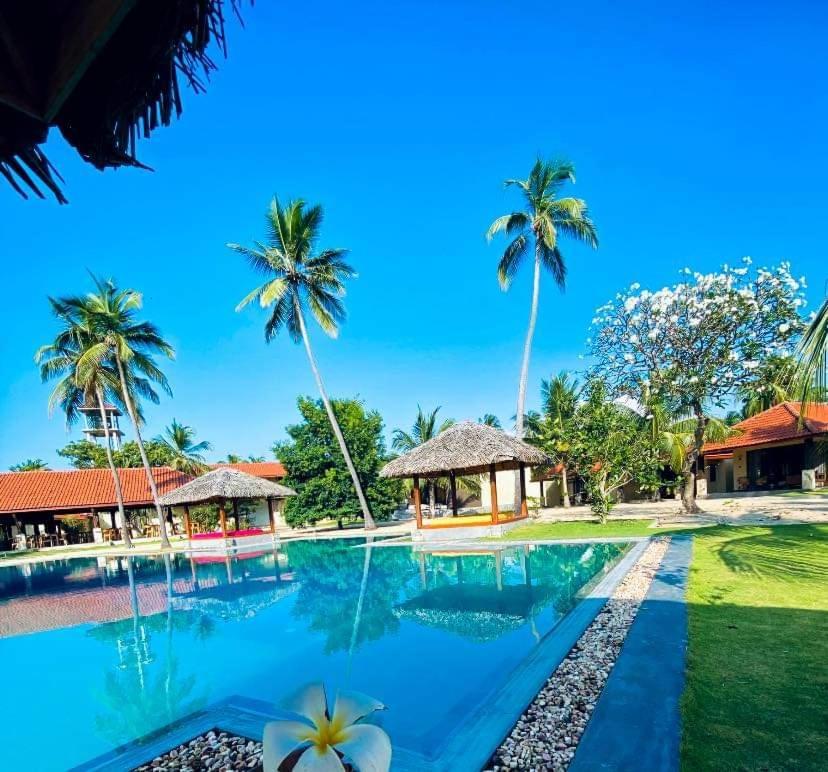 Blue Waves Kite Surfing Beach Resort คัลพิทิยา ภายนอก รูปภาพ